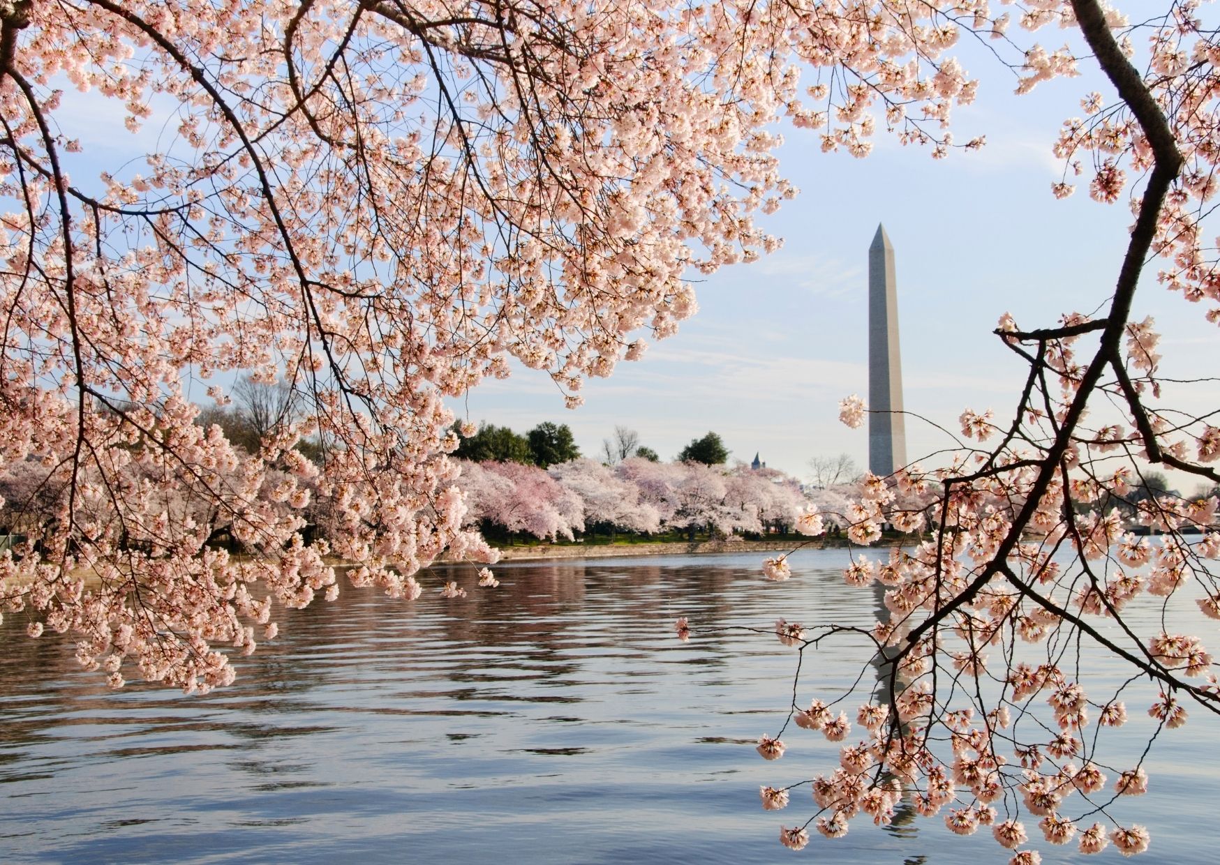 VTLA - Washington DC