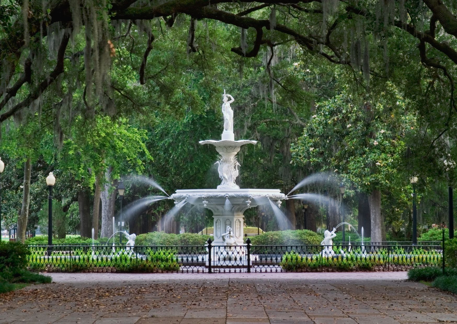 LawTigers - Savannah, GA 2